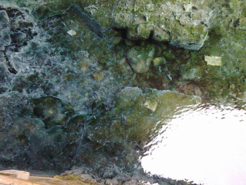 photo49.jpg